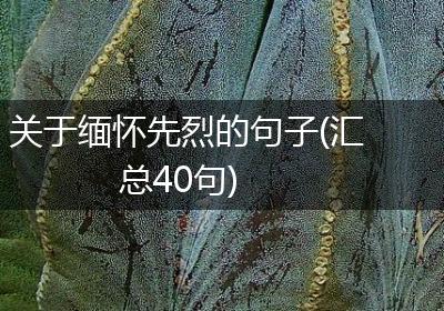 关于缅怀先烈的句子(汇总40句)