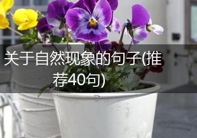 关于自然现象的句子(推荐40句)