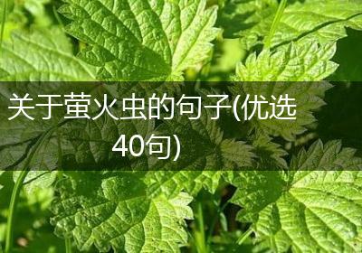 关于萤火虫的句子(优选40句)