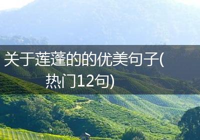 关于莲蓬的的优美句子(热门12句)