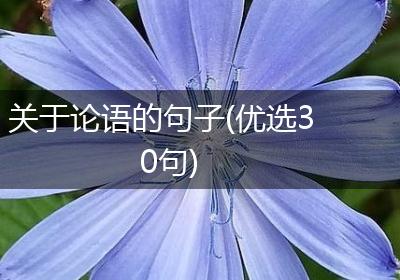 关于论语的句子(优选30句)
