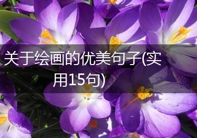 关于绘画的优美句子(实用15句)