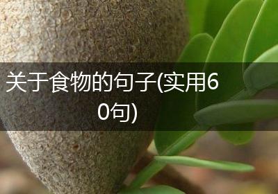关于食物的句子(实用60句)