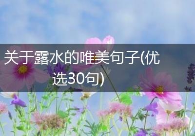 关于露水的唯美句子(优选30句)