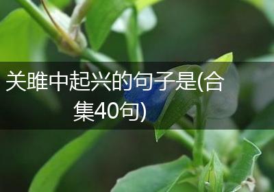 关雎中起兴的句子是(合集40句)