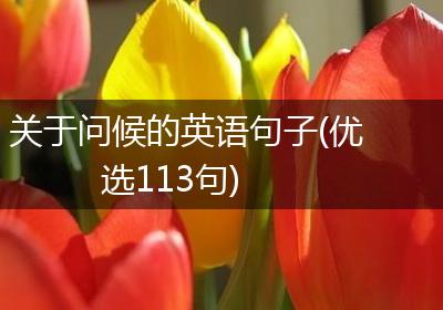 关于问候的英语句子(优选113句)