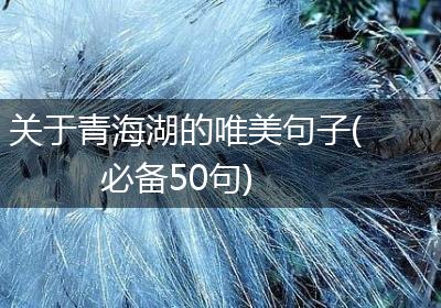 关于青海湖的唯美句子(必备50句)