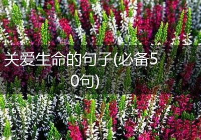 关爱生命的句子(必备50句)