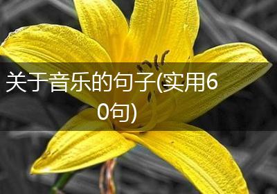 关于音乐的句子(实用60句)