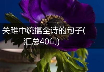 关雎中统摄全诗的句子(汇总40句)