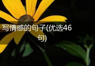 写情感的句子(优选46句)