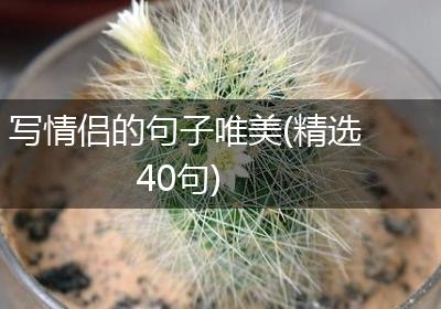 写情侣的句子唯美(精选40句)