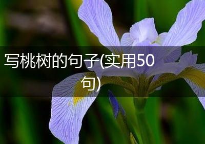 写桃树的句子(实用50句)