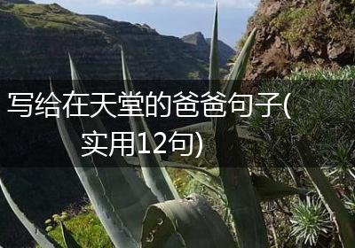 写给在天堂的爸爸句子(实用12句)