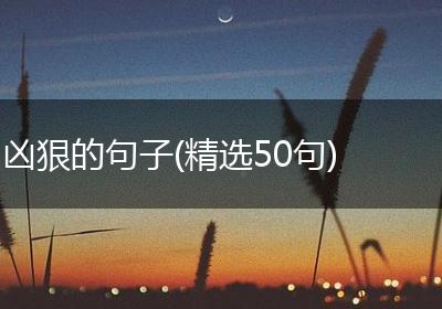 凶狠的句子(精选50句)