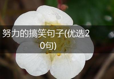 努力的搞笑句子(优选20句)