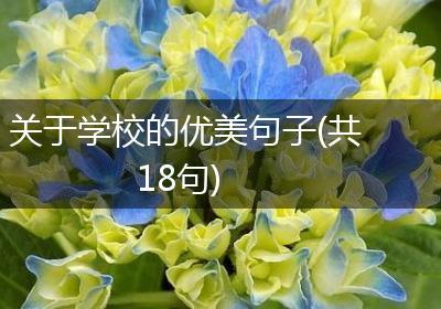 关于学校的优美句子(共18句)