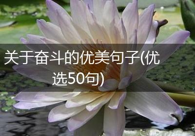 关于奋斗的优美句子(优选50句)