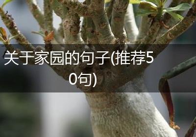 关于家园的句子(推荐50句)