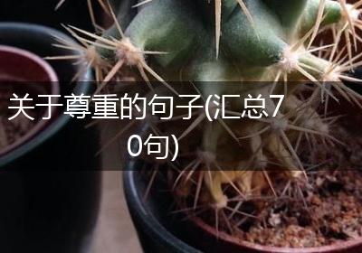 关于尊重的句子(汇总70句)