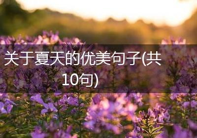 关于夏天的优美句子(共10句)