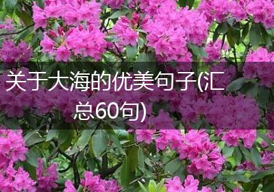 关于大海的优美句子(汇总60句)