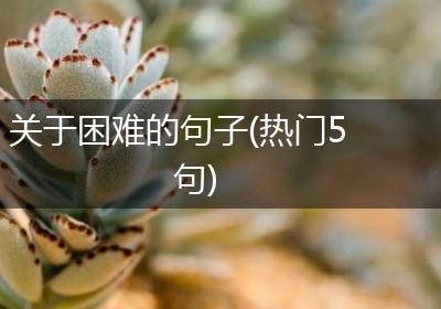 关于困难的句子(热门5句)