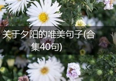 关于夕阳的唯美句子(合集40句)