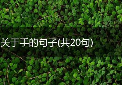 关于手的句子(共20句)