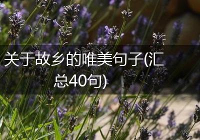 关于故乡的唯美句子(汇总40句)