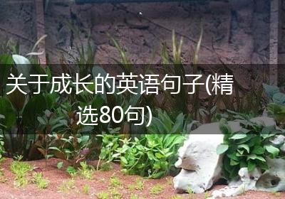 关于成长的英语句子(精选80句)