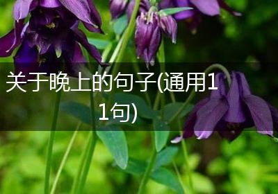 关于晚上的句子(通用11句)