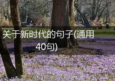 关于新时代的句子(通用40句)