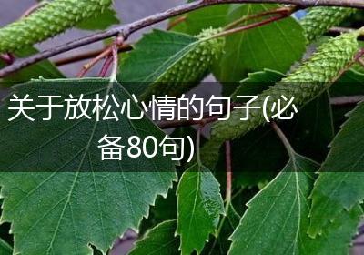 关于放松心情的句子(必备80句)