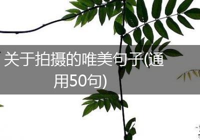 关于拍摄的唯美句子(通用50句)