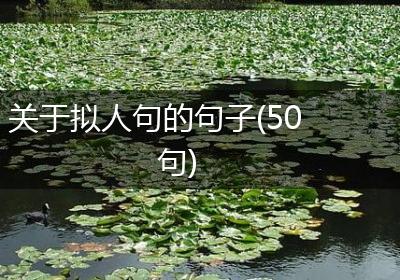 关于拟人句的句子(50句)