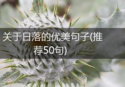关于日落的优美句子(推荐50句)