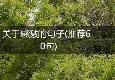 关于感激的句子(推荐60句)