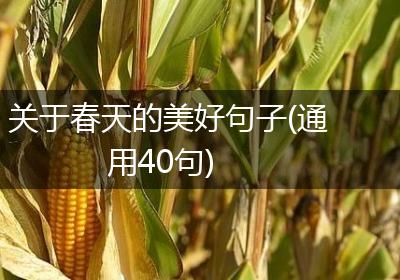 关于春天的美好句子(通用40句)