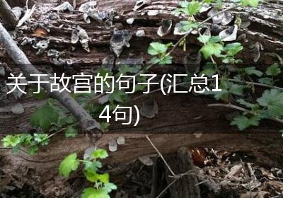 关于故宫的句子(汇总14句)