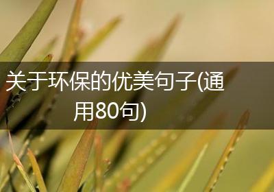 关于环保的优美句子(通用80句)