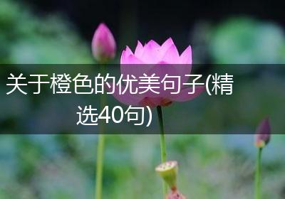 关于橙色的优美句子(精选40句)