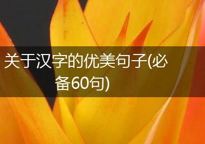 关于汉字的优美句子(必备60句)