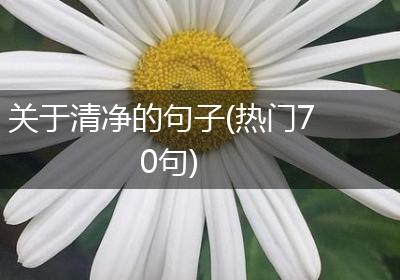 关于清净的句子(热门70句)