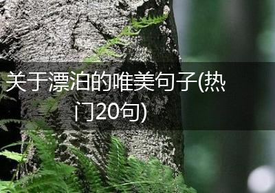 关于漂泊的唯美句子(热门20句)