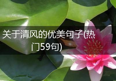 关于清风的优美句子(热门59句)