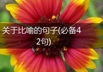 关于比喻的句子(必备42句)