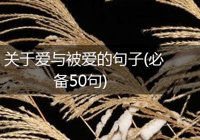 关于爱与被爱的句子(必备50句)