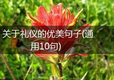 关于礼仪的优美句子(通用10句)