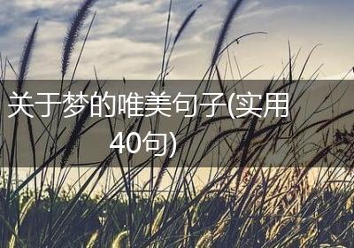 关于梦的唯美句子(实用40句)